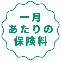一月あたりの保険料